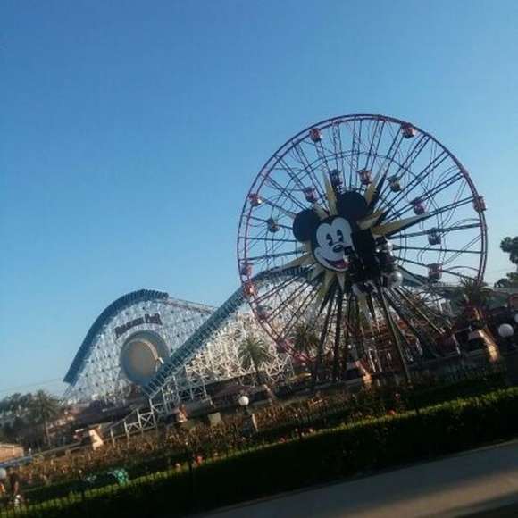 Meet your Posher, Mia . - Picture 1 of 1